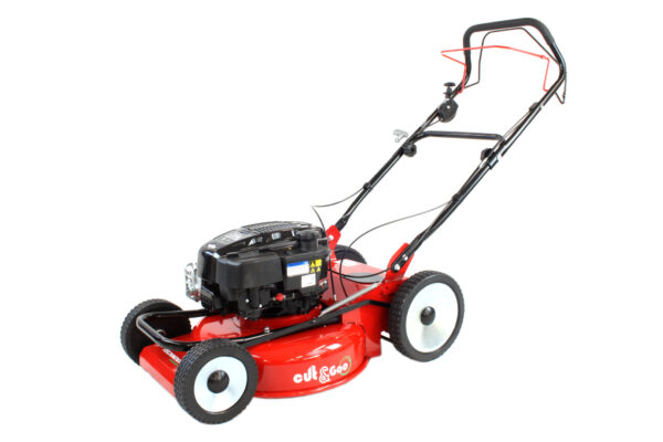 RASAERBA Mulching TECHNOGARDEN Made in Italy CZ 53 TRV BIO PRO B&S 850PXi Variatore RUOTE ACCIAIO - immagine 8
