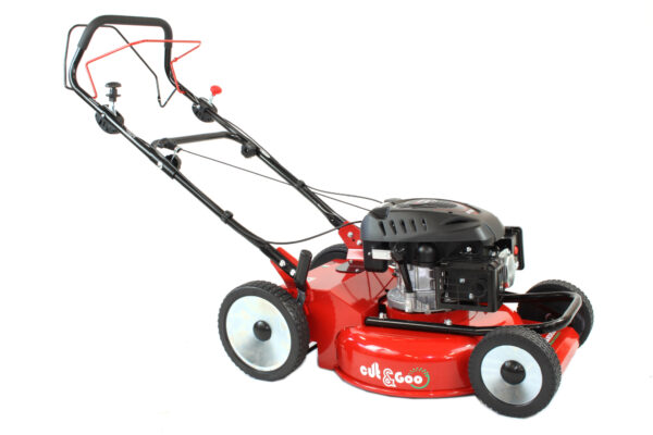 Rasaerba Mulching TECHNOGARDEN Made in Italy CZ 53 TRV BIO PRO RATO RV225 Variatore RUOTE ACCIAIO SPEDIZIONE GRATUITA - immagine 2